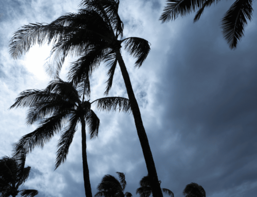 Preparing Your Solar Systems During Hurricane Season: Essential Guidelines