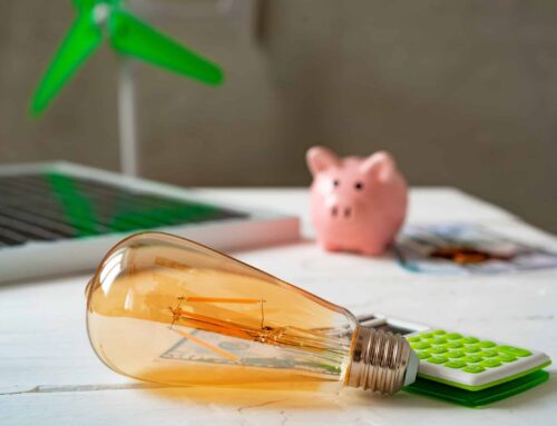 Easy Sustainable Home Hacks for Spring: Sarasota Eco-Friendly Guide