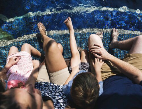 365 Days of Siesta Key Vibes: Why Solar Pool Heating is Sarasota’s Favorite Luxury
